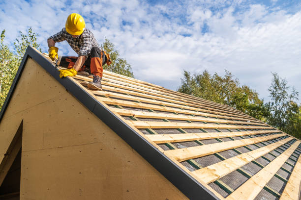 Best Roof Gutter Cleaning  in Mckinney, TX